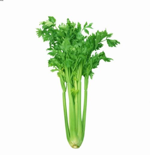 Chinese Celery 01